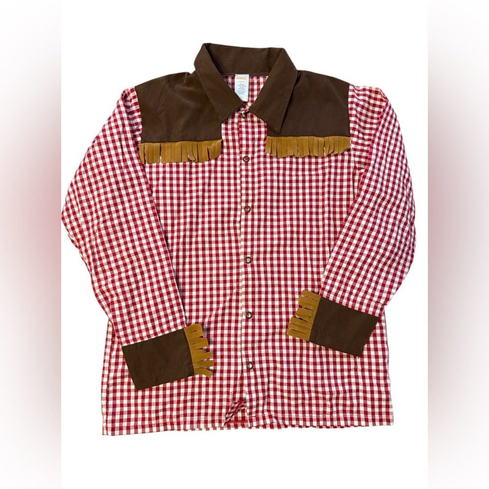 Gymboree L (10-12) JUNIOR BUCKAROO Cowboy Costume shirt hat chaps fringe gingham - Picture 2 of 13